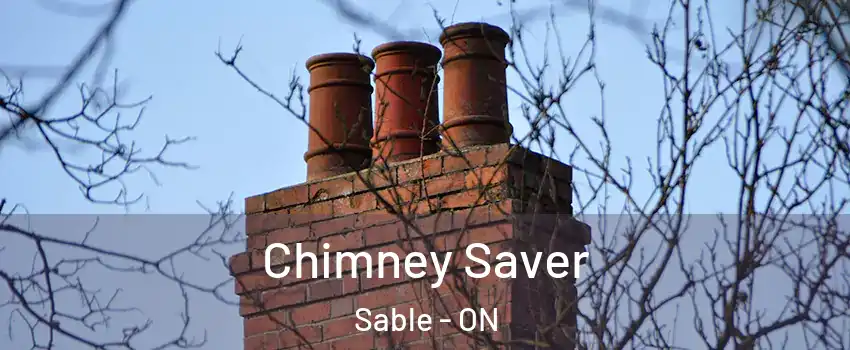  Chimney Saver Sable - ON