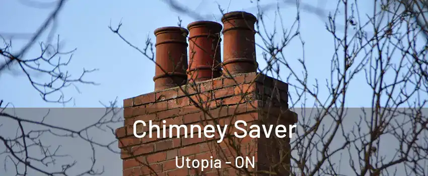  Chimney Saver Utopia - ON