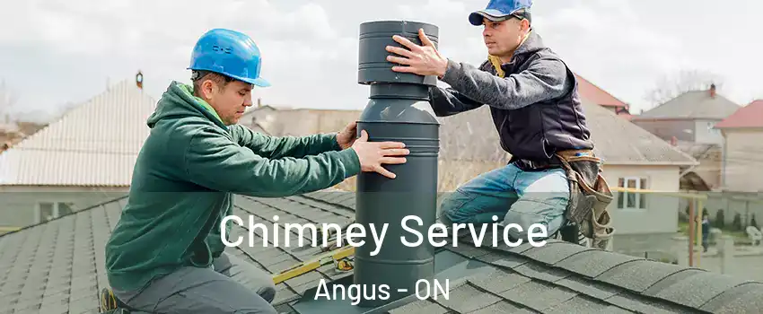  Chimney Service Angus - ON