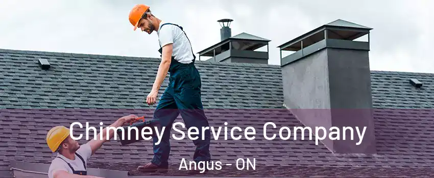  Chimney Service Company Angus - ON