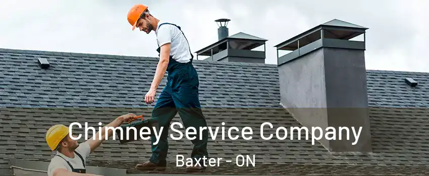  Chimney Service Company Baxter - ON