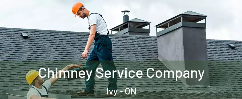  Chimney Service Company Ivy - ON