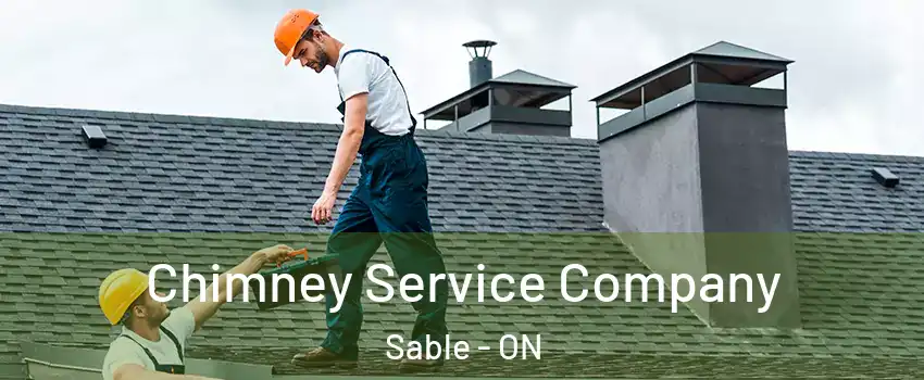  Chimney Service Company Sable - ON