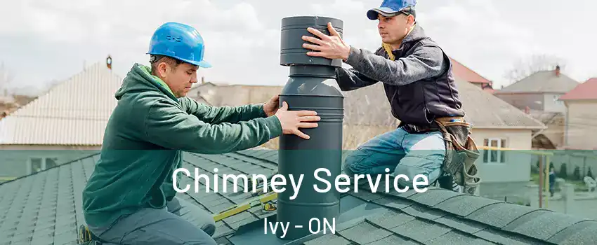  Chimney Service Ivy - ON