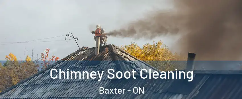  Chimney Soot Cleaning Baxter - ON