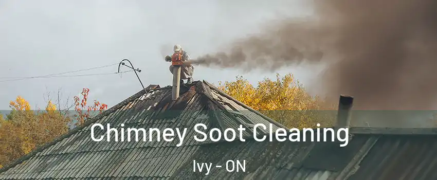  Chimney Soot Cleaning Ivy - ON