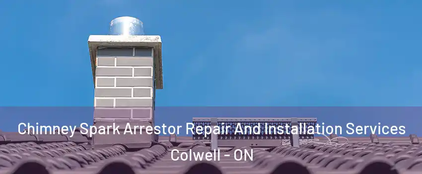  Chimney Spark Arrestor Repair And Installation Services Colwell - ON