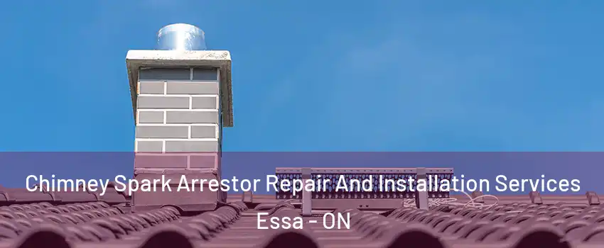  Chimney Spark Arrestor Repair And Installation Services Essa - ON