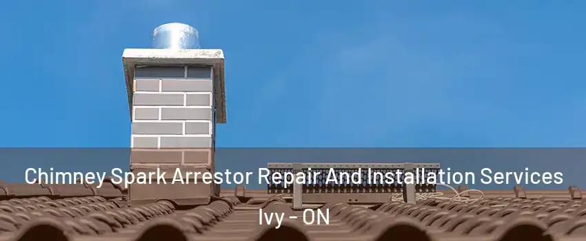  Chimney Spark Arrestor Repair And Installation Services Ivy - ON