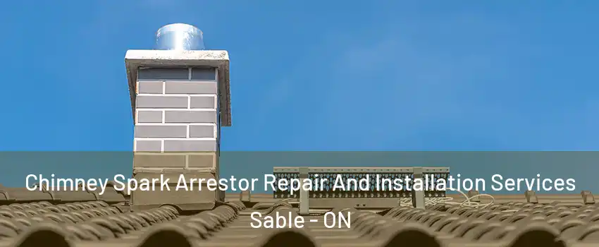  Chimney Spark Arrestor Repair And Installation Services Sable - ON