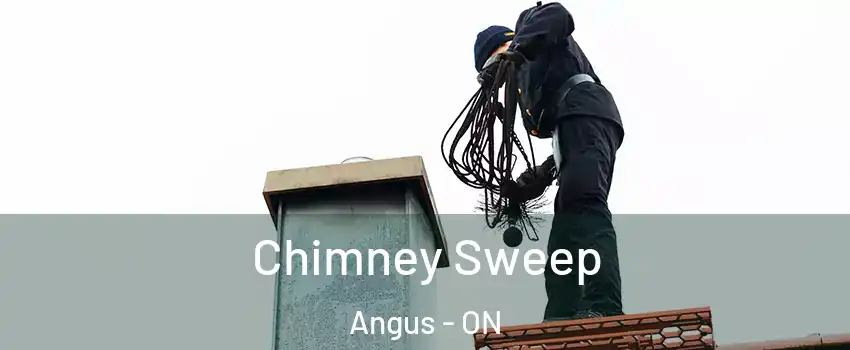  Chimney Sweep Angus - ON