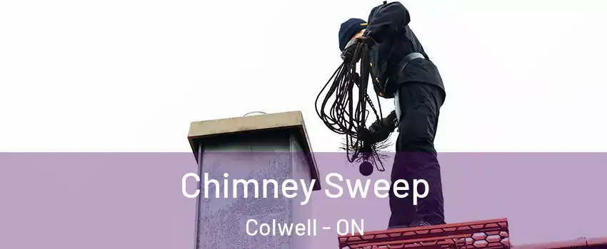  Chimney Sweep Colwell - ON
