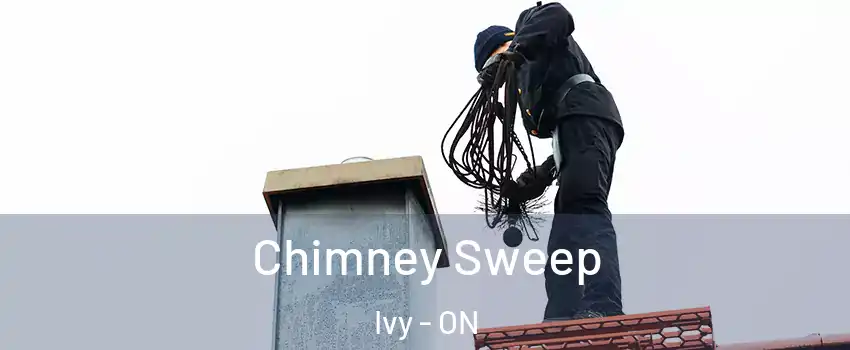  Chimney Sweep Ivy - ON