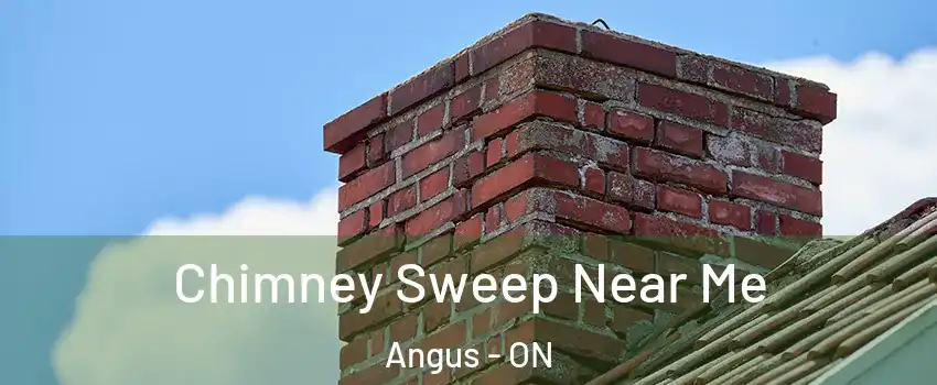  Chimney Sweep Near Me Angus - ON