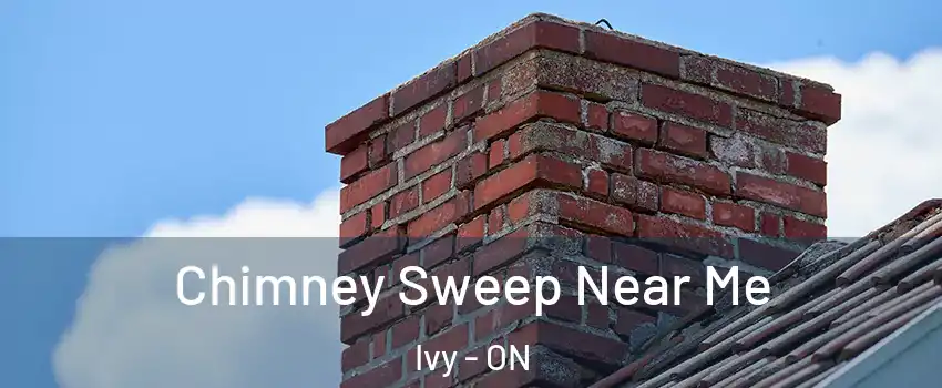  Chimney Sweep Near Me Ivy - ON