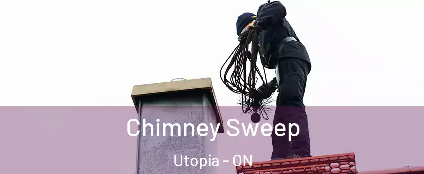  Chimney Sweep Utopia - ON