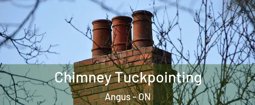  Chimney Tuckpointing Angus - ON