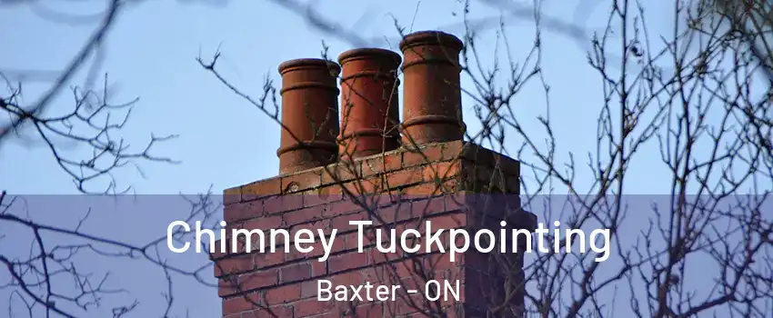  Chimney Tuckpointing Baxter - ON