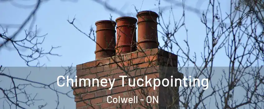  Chimney Tuckpointing Colwell - ON