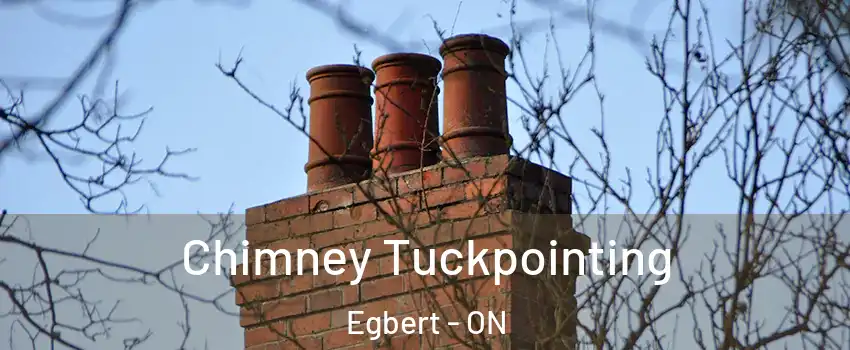  Chimney Tuckpointing Egbert - ON