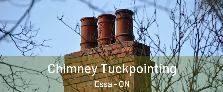  Chimney Tuckpointing Essa - ON