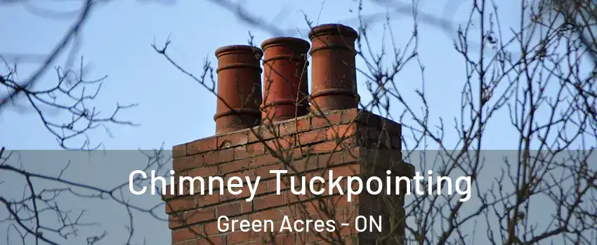  Chimney Tuckpointing Green Acres - ON