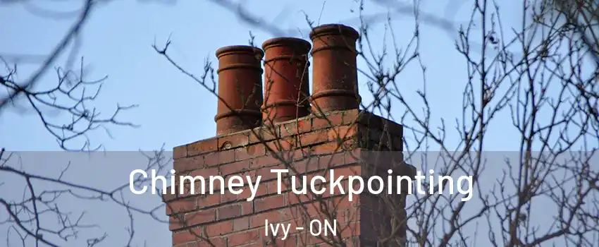  Chimney Tuckpointing Ivy - ON