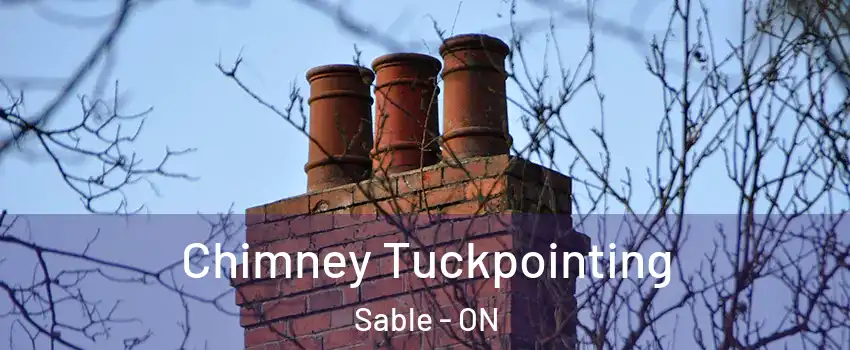  Chimney Tuckpointing Sable - ON