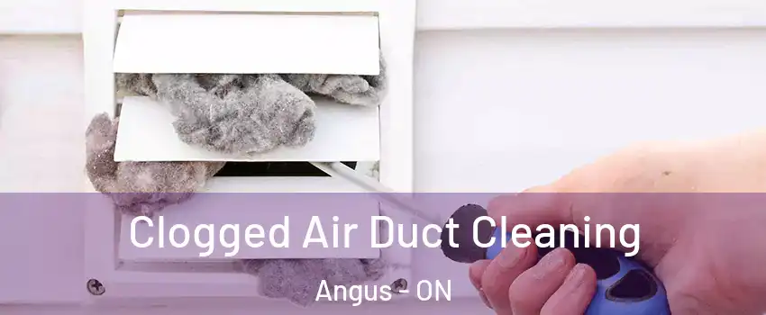  Clogged Air Duct Cleaning Angus - ON