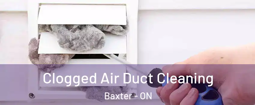  Clogged Air Duct Cleaning Baxter - ON