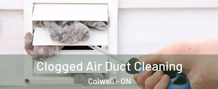  Clogged Air Duct Cleaning Colwell - ON