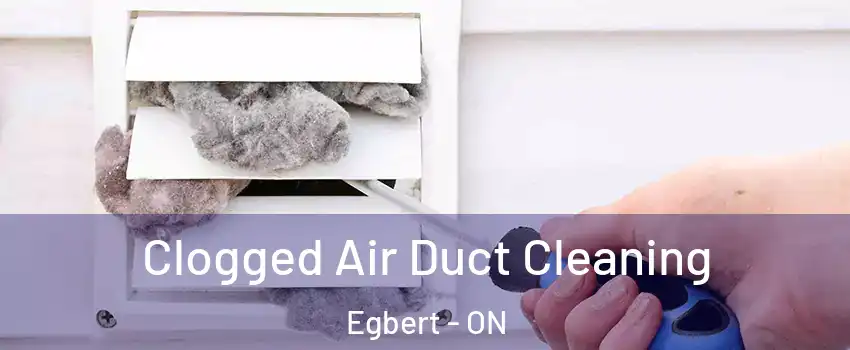  Clogged Air Duct Cleaning Egbert - ON