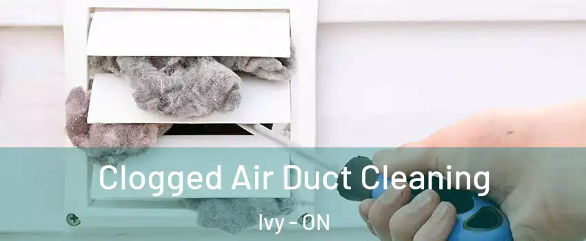 Clogged Air Duct Cleaning Ivy - ON