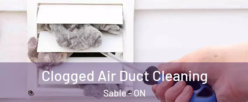  Clogged Air Duct Cleaning Sable - ON