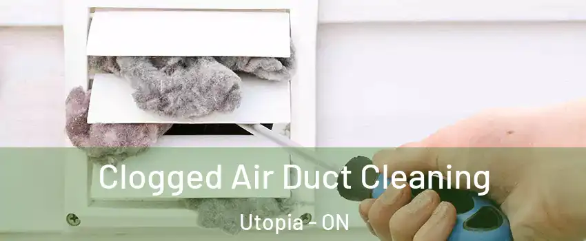  Clogged Air Duct Cleaning Utopia - ON