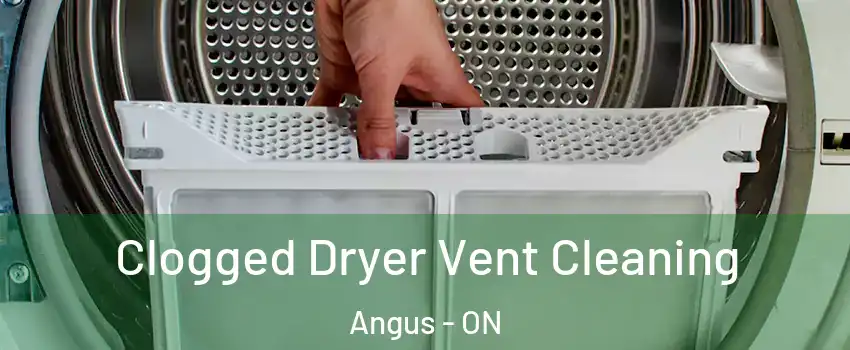  Clogged Dryer Vent Cleaning Angus - ON