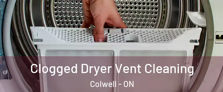  Clogged Dryer Vent Cleaning Colwell - ON