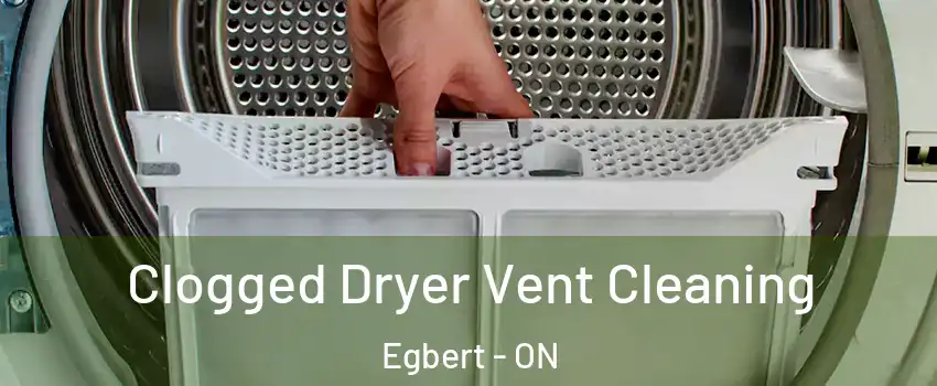  Clogged Dryer Vent Cleaning Egbert - ON