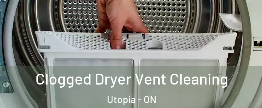  Clogged Dryer Vent Cleaning Utopia - ON