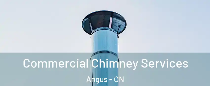  Commercial Chimney Services Angus - ON