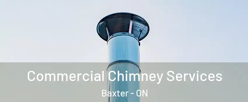  Commercial Chimney Services Baxter - ON