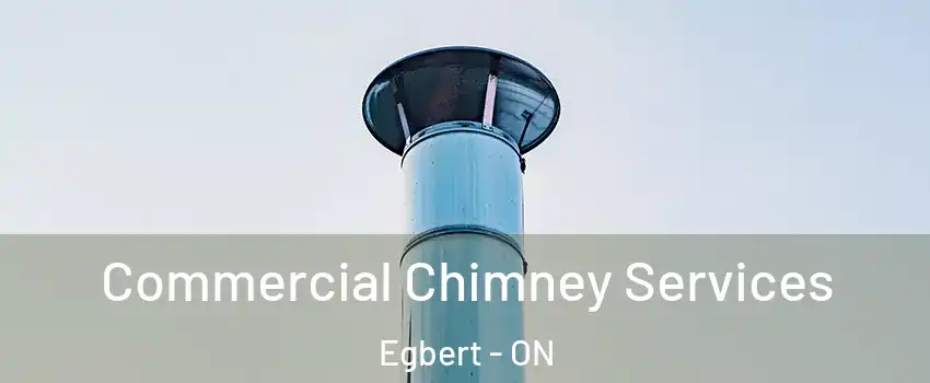  Commercial Chimney Services Egbert - ON