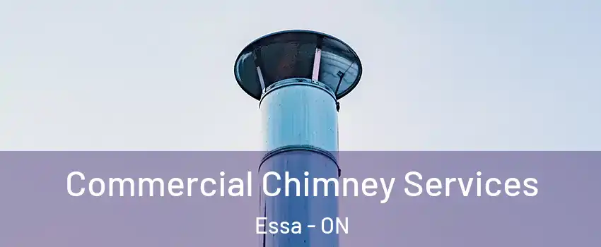  Commercial Chimney Services Essa - ON