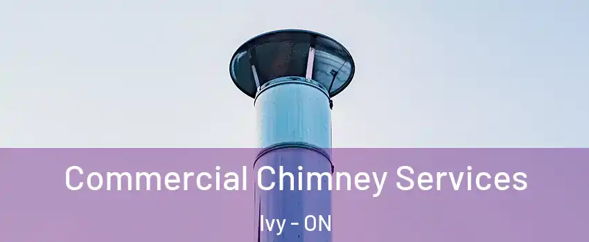  Commercial Chimney Services Ivy - ON