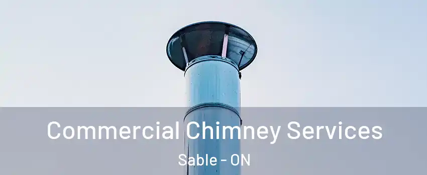  Commercial Chimney Services Sable - ON