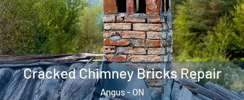  Cracked Chimney Bricks Repair Angus - ON