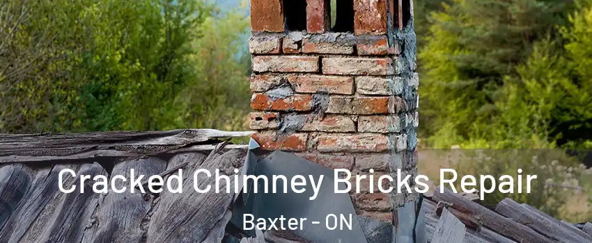  Cracked Chimney Bricks Repair Baxter - ON