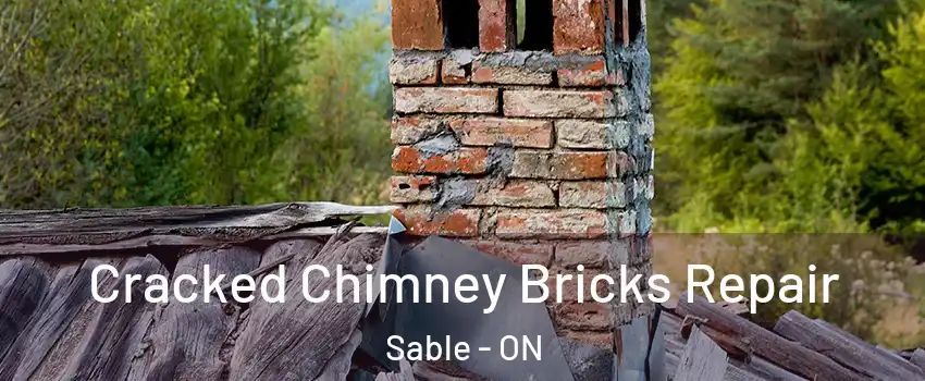  Cracked Chimney Bricks Repair Sable - ON