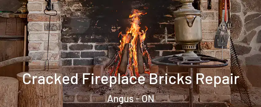  Cracked Fireplace Bricks Repair Angus - ON
