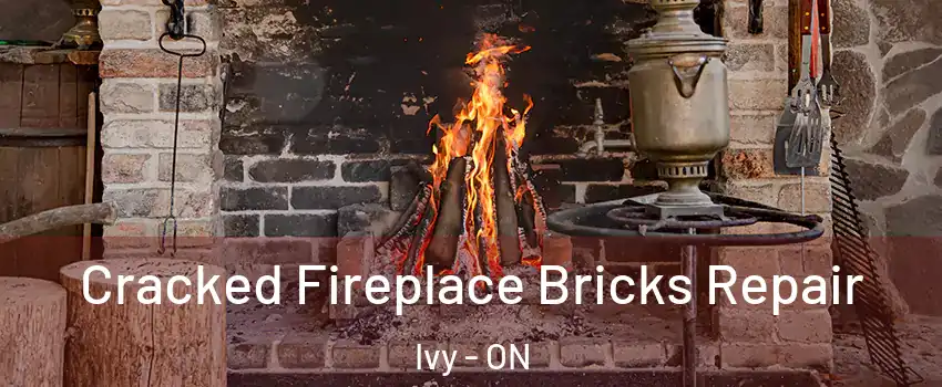  Cracked Fireplace Bricks Repair Ivy - ON